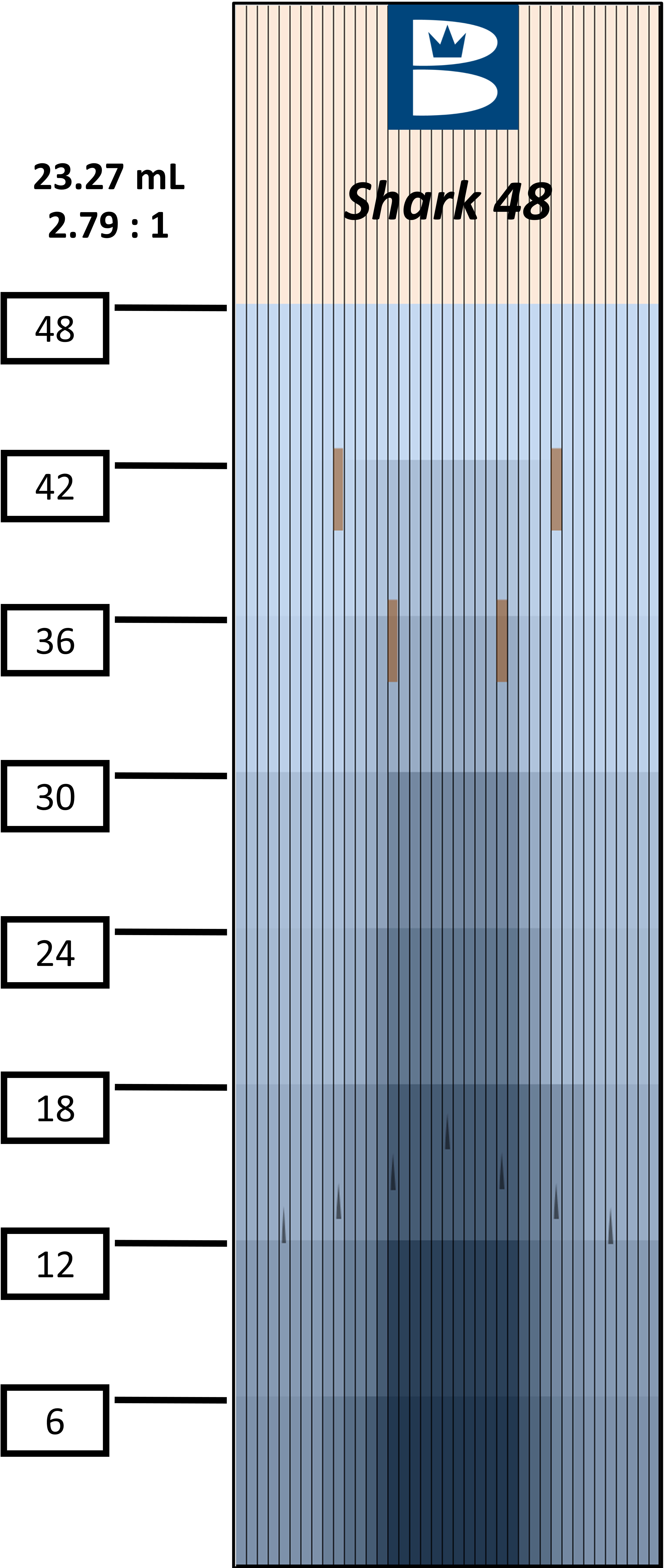 2023 Shark Oil Pattern