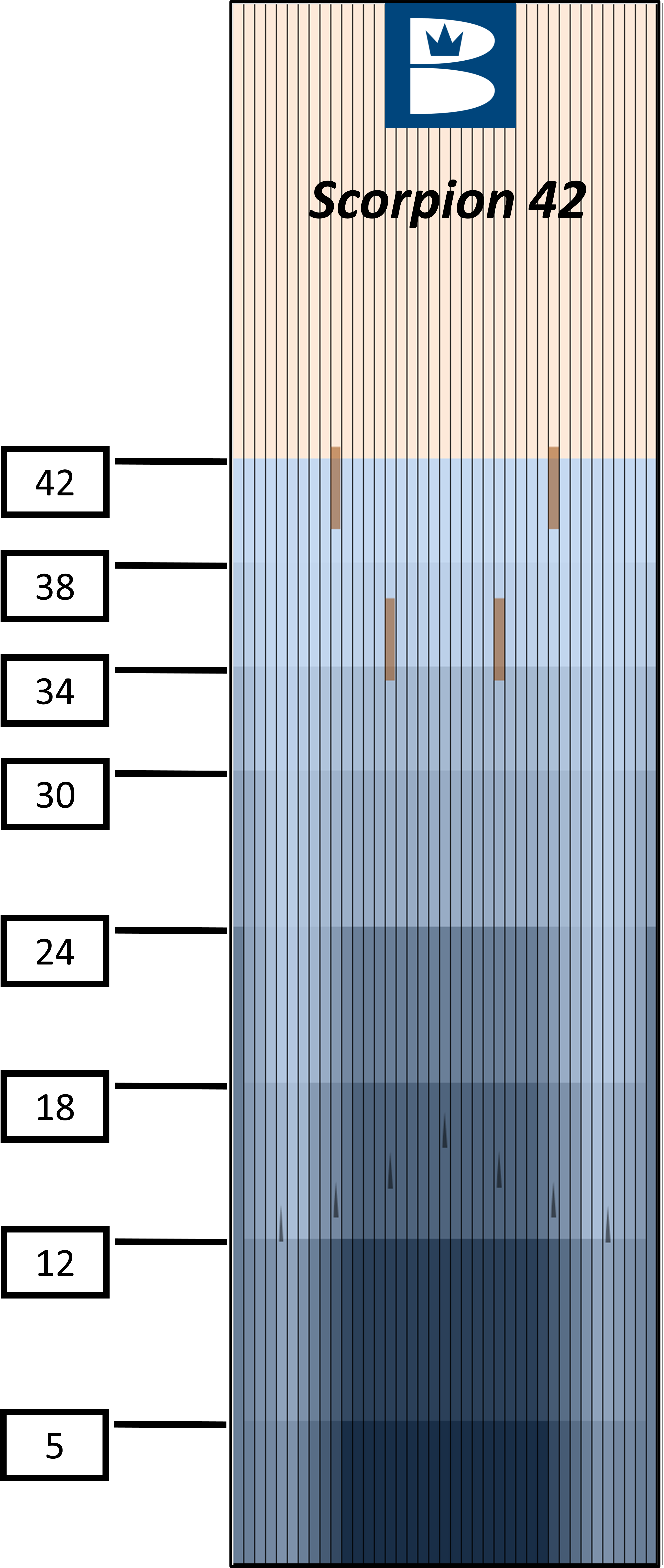2023 Scorpion 42 Oil Pattern