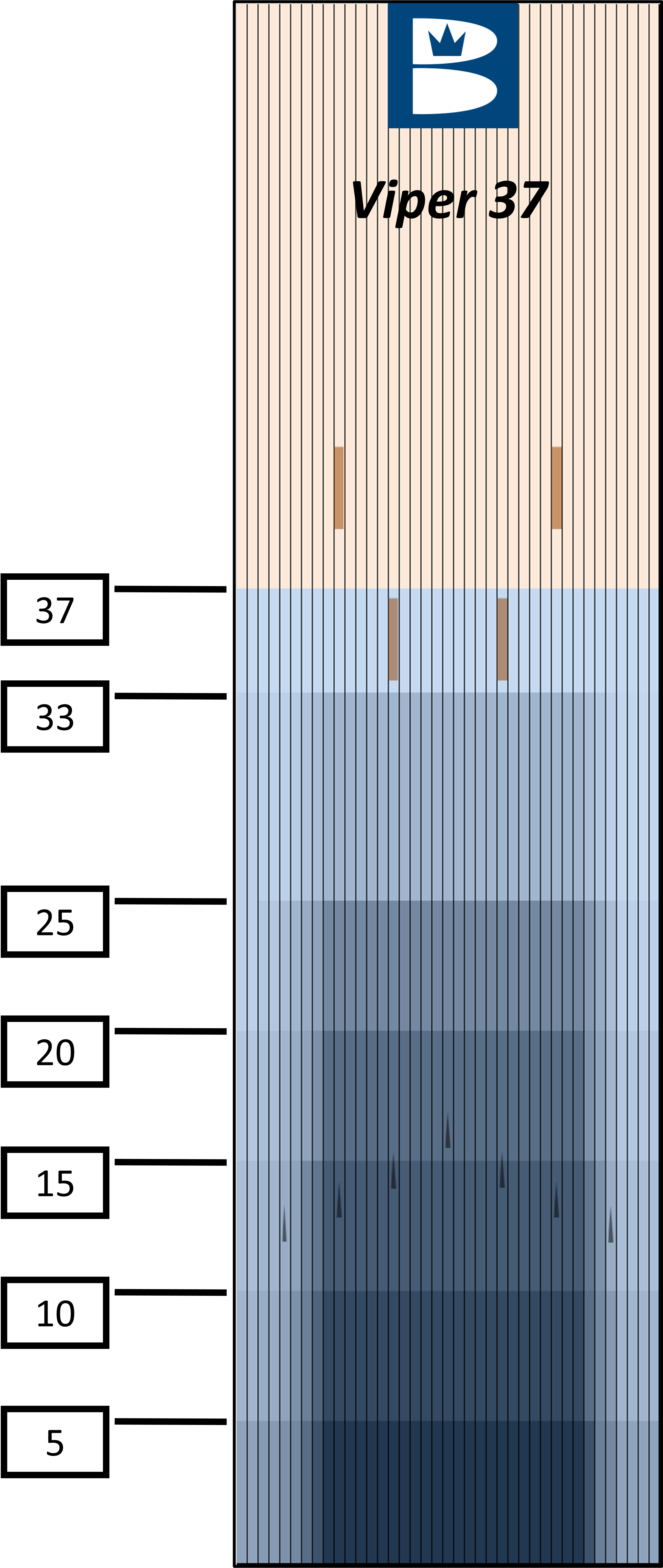 2023 Viper Oil Pattern