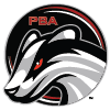 Badger Logo