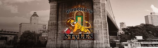 The Styles logo centered in front of the Brooklyn Bridge